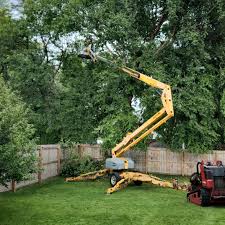 Best Lot and Land Clearing  in Chickasha, OK