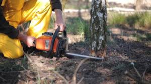 Best Hedge Trimming  in Chickasha, OK