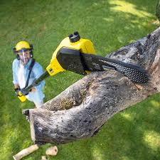  Chickasha, OK Tree Services Pros
