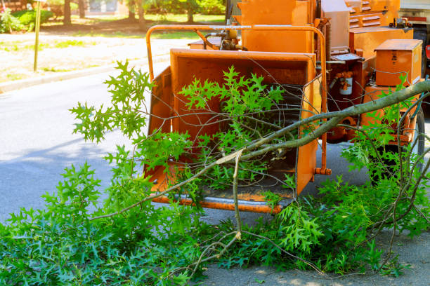 Best Aeration Services  in Chickasha, OK